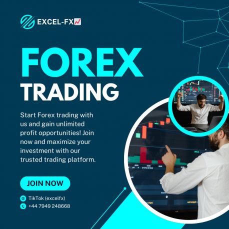 EXCEL-FX
