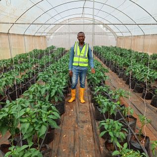 Uchenna Chukwu-Ugo