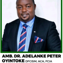 Amb Dr Adelanke Oyintoke