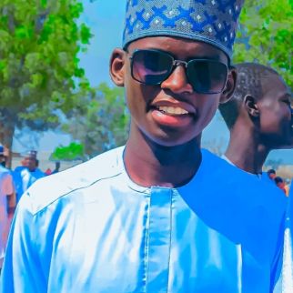 Mubarak aliyu ali