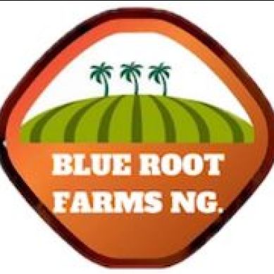 BLUEROOT FARMS NIG LTD