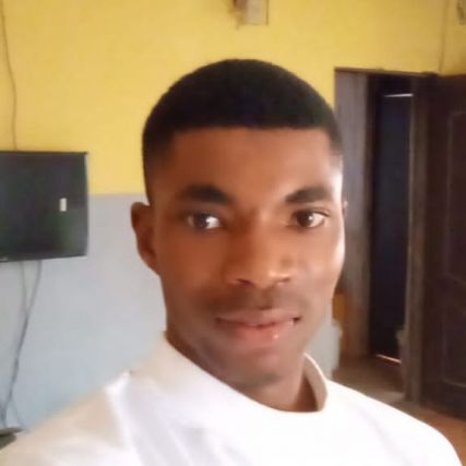 Vincent Aniefok Asukwo