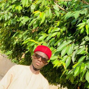 Shu'aibu Usman Arab
