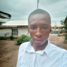 Israel E. Nwodo