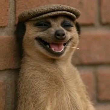 Mr Good boy