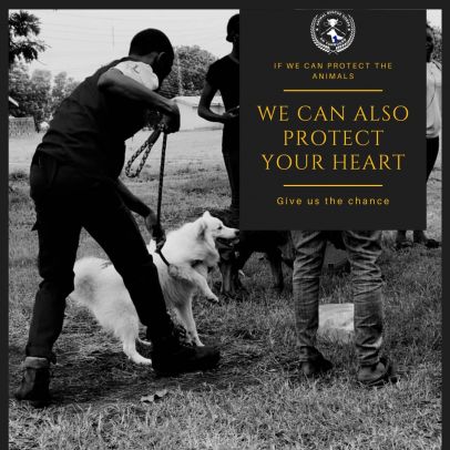 Animalia Musbau Shakirat Dasola