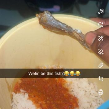 Rice and fish