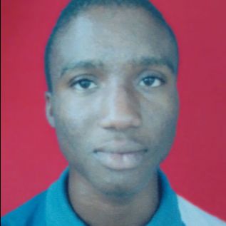 Akanro Michael Oluwaseyi