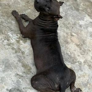 Come. Chioma favour Chimela