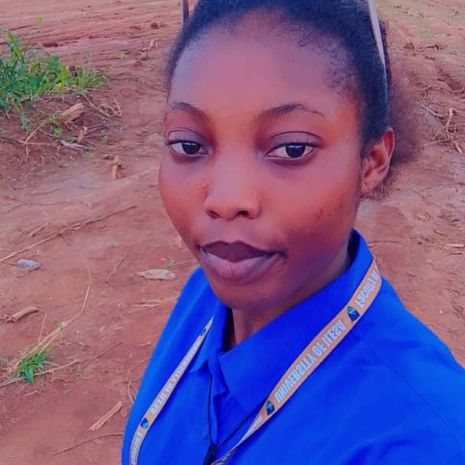 Oluwole Damilola